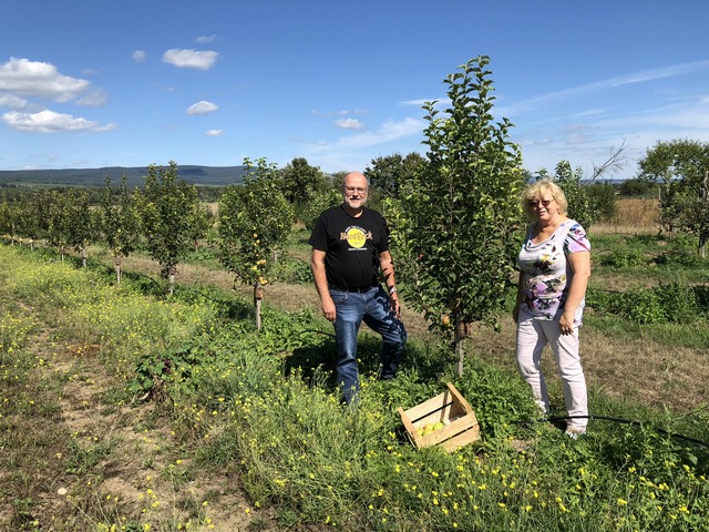 Ingelbaum 2018 2 klein